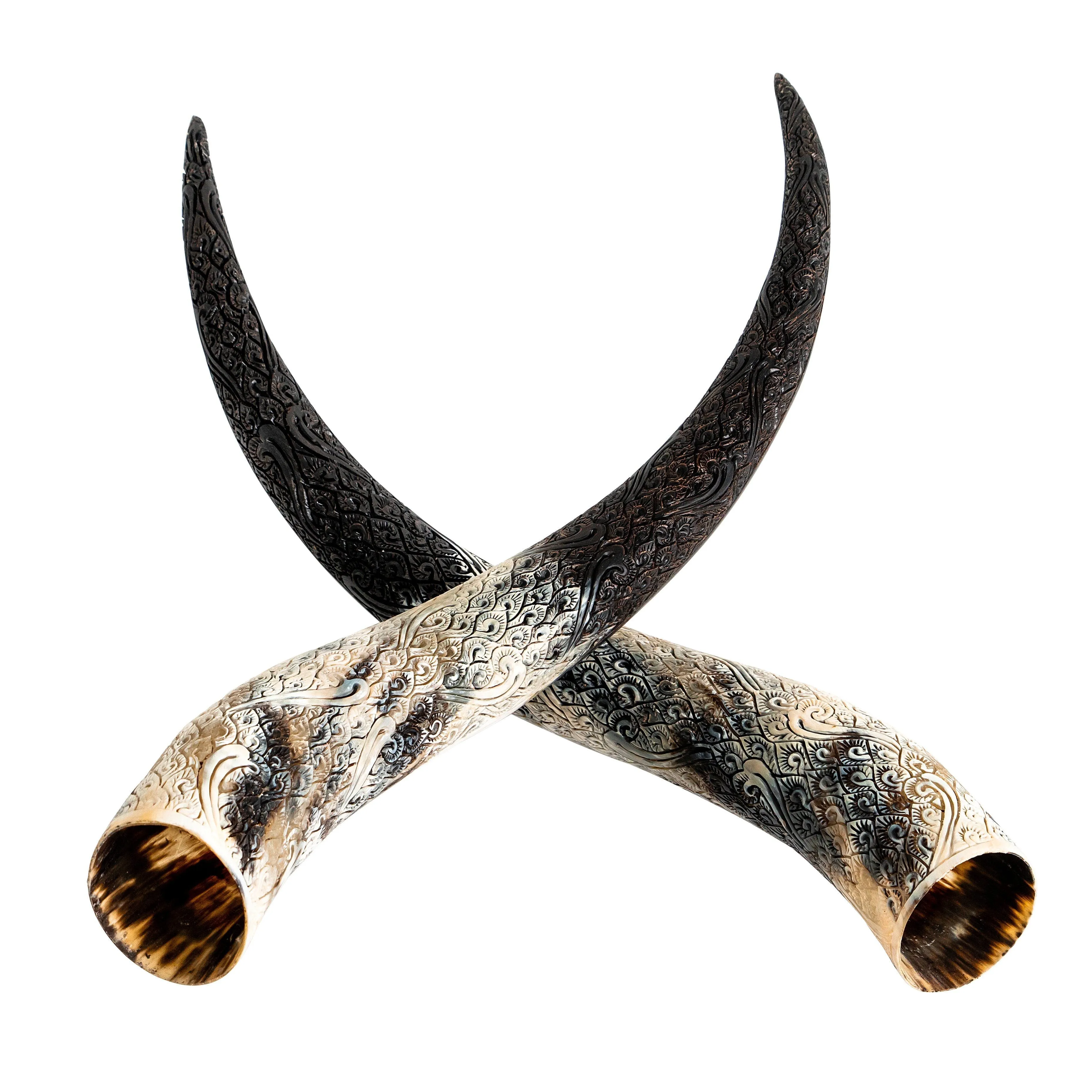 Hand Carved Longhorn Skull - Black Valknut