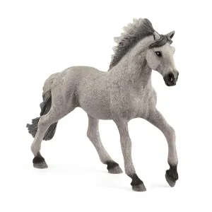 Sorraia Mustang Stallion Figure